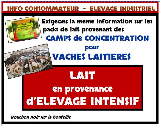 Lait intensif