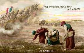 femmes aux champs