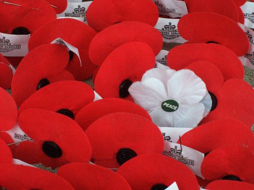 coquelicot